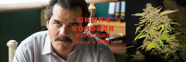 ГАЛЛЮЦИНОГЕННЫЕ ГРИБЫ Горняк