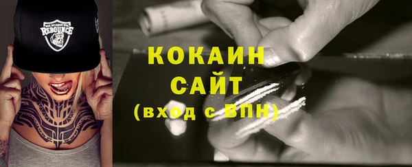 сатива Строитель