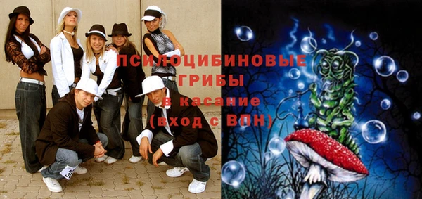 сатива Строитель