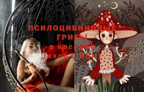 ГАЛЛЮЦИНОГЕННЫЕ ГРИБЫ Горняк