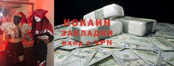 ГАЛЛЮЦИНОГЕННЫЕ ГРИБЫ Горняк