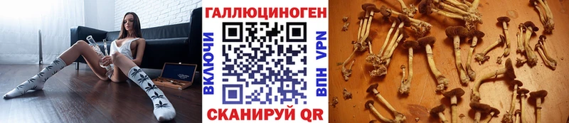 Псилоцибиновые грибы Cubensis  mega вход  Дубовка 